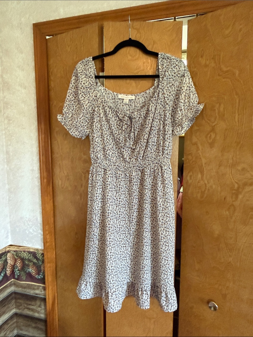 Monteau White Midi Dress with Blue Floral Print